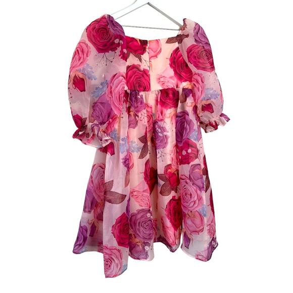 NWT JESSAKAE Pink & Purple Rose Polly Dress Size Medium - Picture 6 of 12